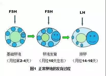 微信图片_20190717093753.jpg