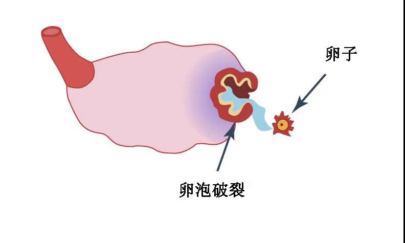 微信图片_20200916091551.jpg